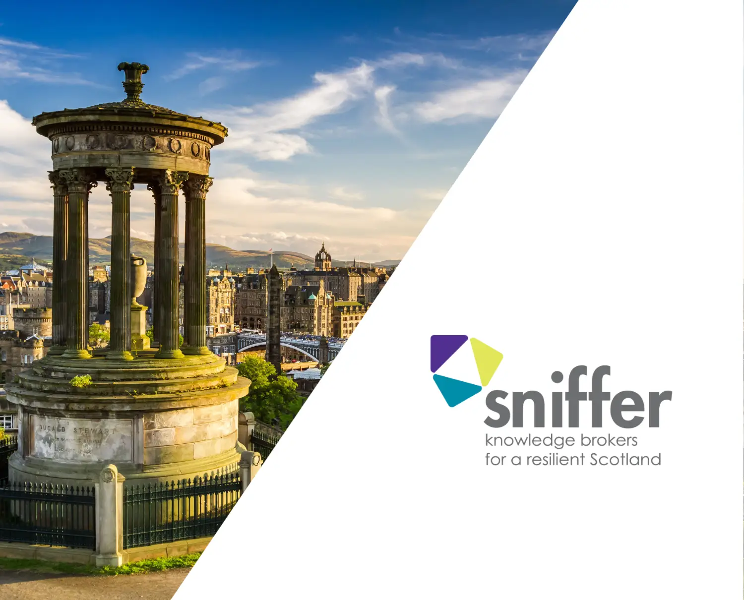 sniffervacancies