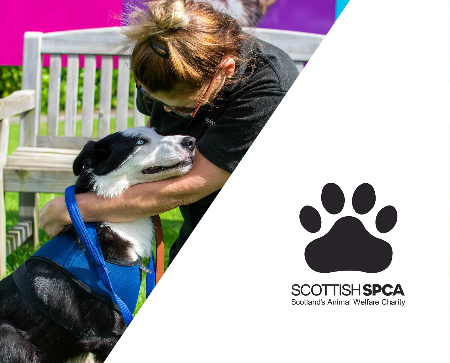 SSPCA Image SSPCA